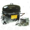 Use TEK81644105 Compressor MF007IN-0 CDA