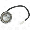 Lampadina Alogena Della Cappa Aspirante - 20W 12V G4 BT9.3GL Baumatic