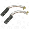 Alpina Vacuum Cleaner Carbon Brush - Pack Of 2