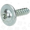 Alpari Engine Connection Screw