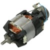 Qualcast Lawnmower Motor Assembly
