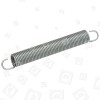 Hinge Spring