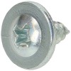 Apell B4.2x9.5 Appliance Screw