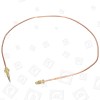 AyA Oven Thermocouple - 600mm
