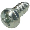 Atlas Screw