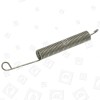 Hotpoint Dishwasher Door Spring - 170mm