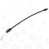 Cable Acelerador B&Q