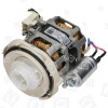 Induction Pump Motor Assembly : Welling YXW50-2E YXWN-50-2-2