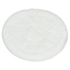 Dyson Vacuum Cleaner Post Motor Filter Pad