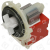 AEG FAV6281 I B Washing Machine/Dishwasher Drain Pump