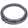Joint De Hublot Pour Lave-linge ZWF1421W Zanussi