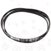 Electrolux Group Tumble Dryer Poly-Vee Drive Belt