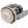 Dishwasher Circulation Pump Motor