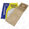Bolsa De Aspiradora Compatible Con Karcher - (Pack De 5 Bolsas Y Microfiltro) - BAG320