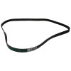 Merloni (Indesit Group) Waschmaschinen-Poly-V Antriebsriemen - 1195H8PHE