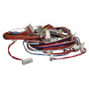 Cableado De Lavadora EVO 1072D-01 Candy