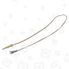 Merloni (Indesit Group) Grill Thermocouple