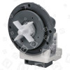 Washing Machine Drain Pump