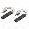 Bosch Neff Siemens Washing Machine Carbon Brushes