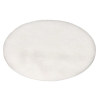 Arctic Compatible Dyson Vacuum Cleaner Post Motor Filter