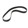 Vax Carpet Washer Belt