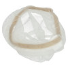 Numatic Vacuum Gauze Filter