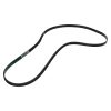 Kenwood Waschmaschinen-Poly-V Antriebsriemen -1239J5PJE / 1239J5