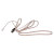 Genuine Antena