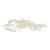 Qualcast Grass Trimmer Blade (Pack Of 25)