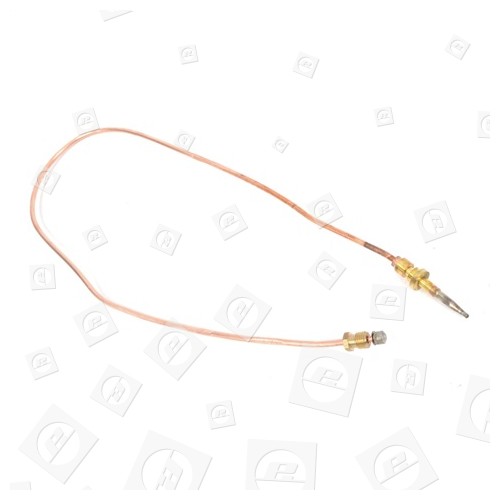 Aspen Oven Thermocouple - 555mm