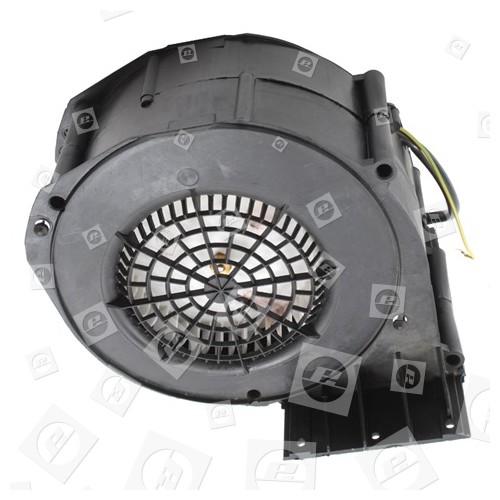 Ventilador-Incluye Motor Hygena