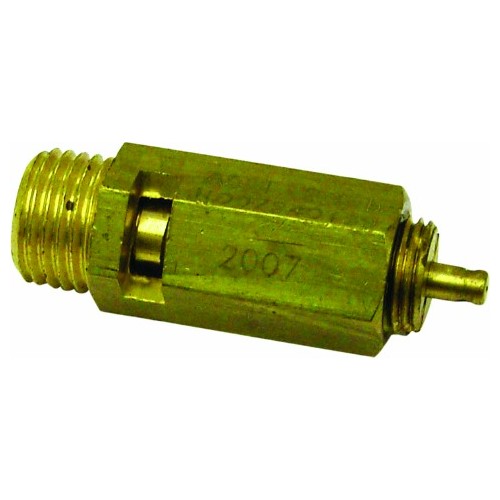 Security Valve