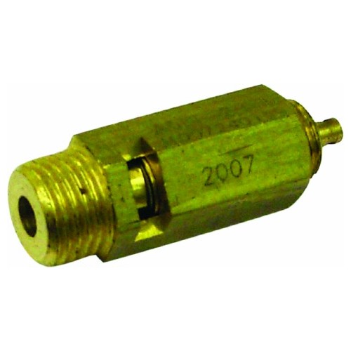 Security Valve