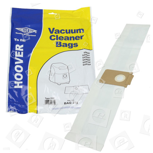 H66 Dinamis Staubsaugerbeutel (5er Packung) - BAG318