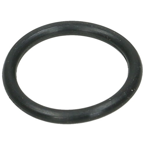 Clatronic GSP644 O-Ring (Drain Hose)