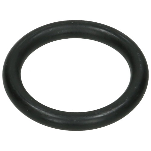 Karcher G2401HH Pressure Washer O-Ring Seal