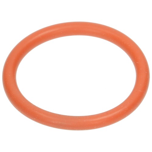 Bauknecht O-Ring