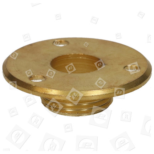 Brass 1/2" Screw Entry Backplate Wellco