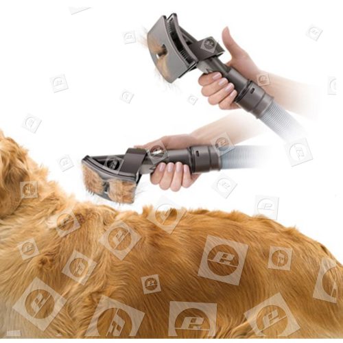 Brosse de toilettage pour chien compatible avec l'aspirateur Dyson