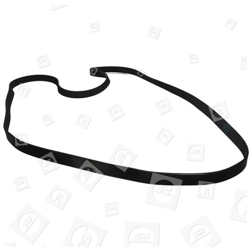 Cinghia Trasmissione 9PHE Cinghia Trasmissione Asciugatrice - Foto 11