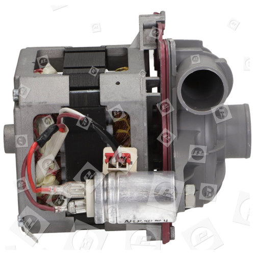 Motor Spray Pump : Tonlon IC-26225 Beko