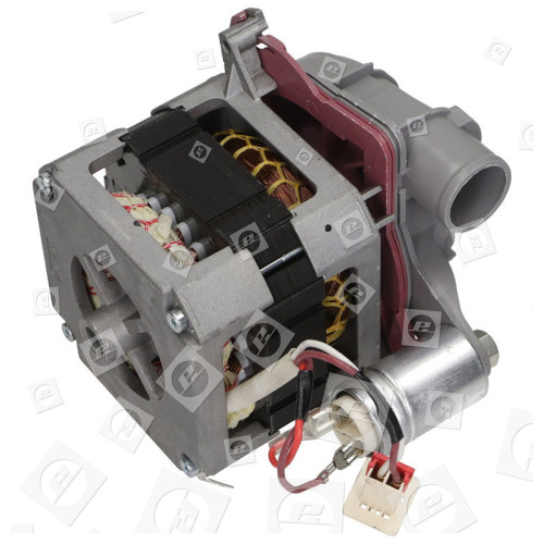 Motor Spray Pump : Tonlon IC-26225 Beko