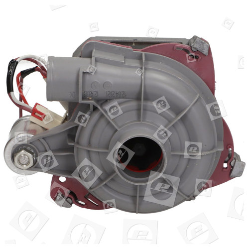 Motor Spray Pump : Tonlon IC-26225 Beko