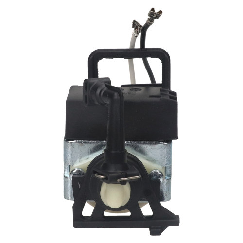 Delonghi Pump