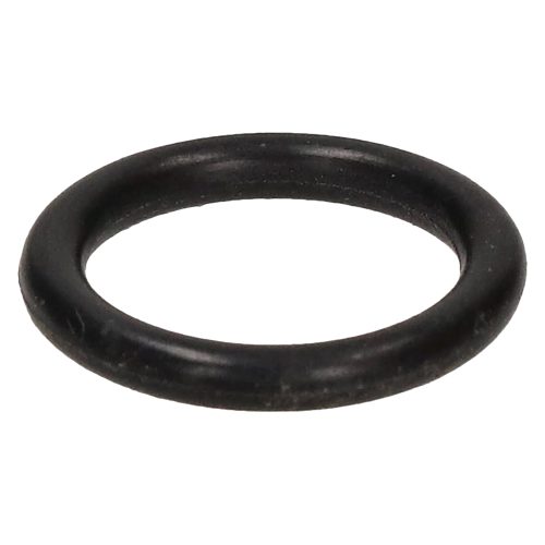 Karcher G2401HH Pressure Washer O-Ring Seal