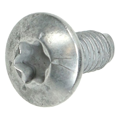 Elektra Bregenz M4X8 Special Plated Screw