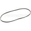 Westpoint Poly-Vee Drive Belt - 1244J5PJE (1244J5)