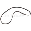 White & Brown AT 1300 Poly-Vee Drive Belt - 1194J5