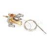 Gas Oven Thermostat T21516 12:36 X16 65mbar