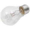 ATAG 40W (E27) Lamp